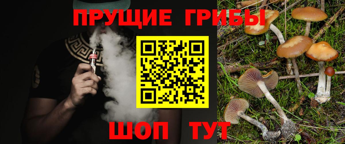 Богородск  закладки  Вход с VPN  Галлюциногенные грибы прущие грибы 