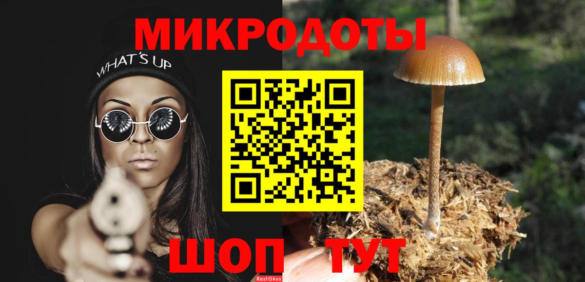 Галлюциногенные грибы Psilocybine cubensis Богородск